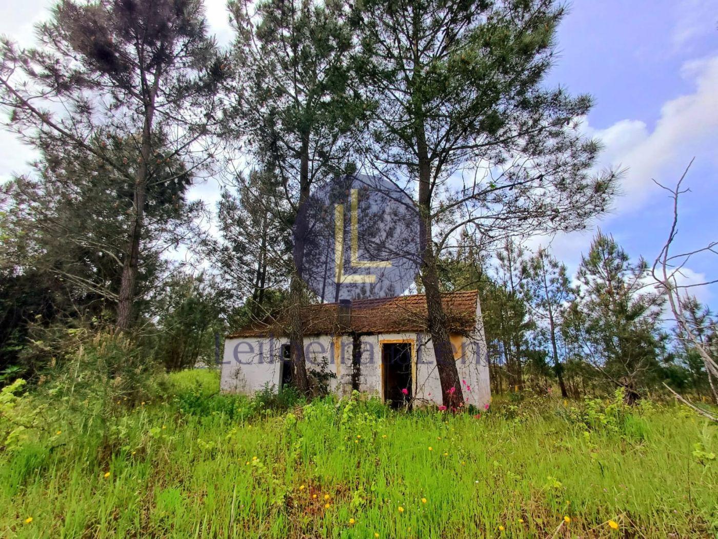 Terreno para constru&ccedil;&atilde;o em Gr&acirc;ndola (RB2026)
