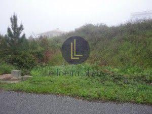 Insolv&ecirc;ncia de Habilive &ndash; Constru&ccedil;&otilde;es, Lda.